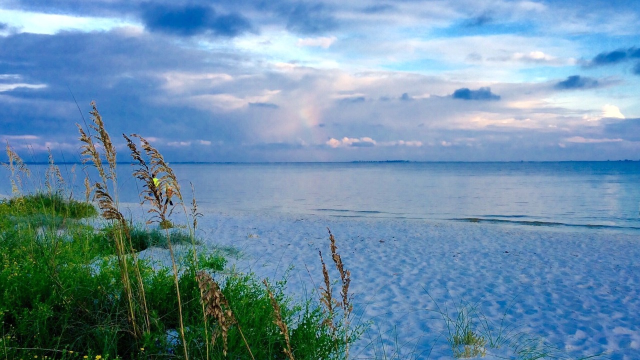Photo of Others in Carrabelle