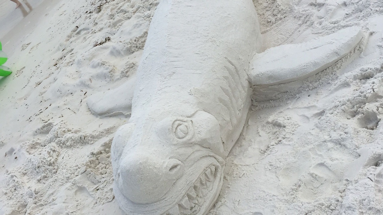 Photo of Others in Fort Walton Beach