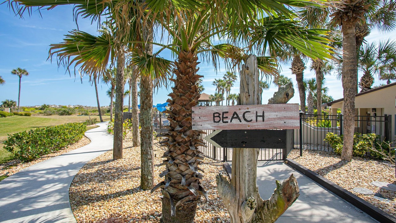 Photo of Outdoor in St. Augustine Beach