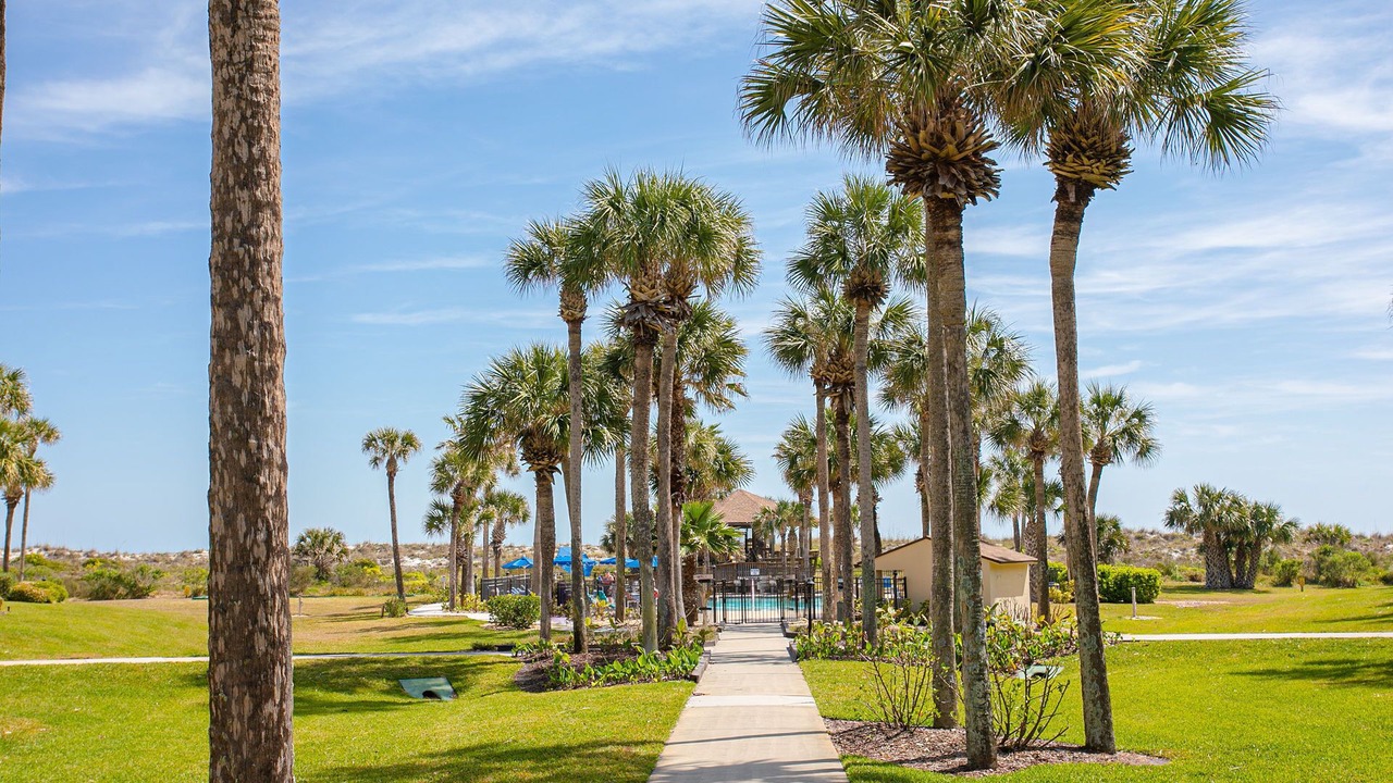 Photo of Others in St. Augustine Beach