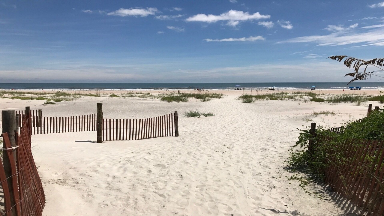 Photo of Others in St. Augustine Beach