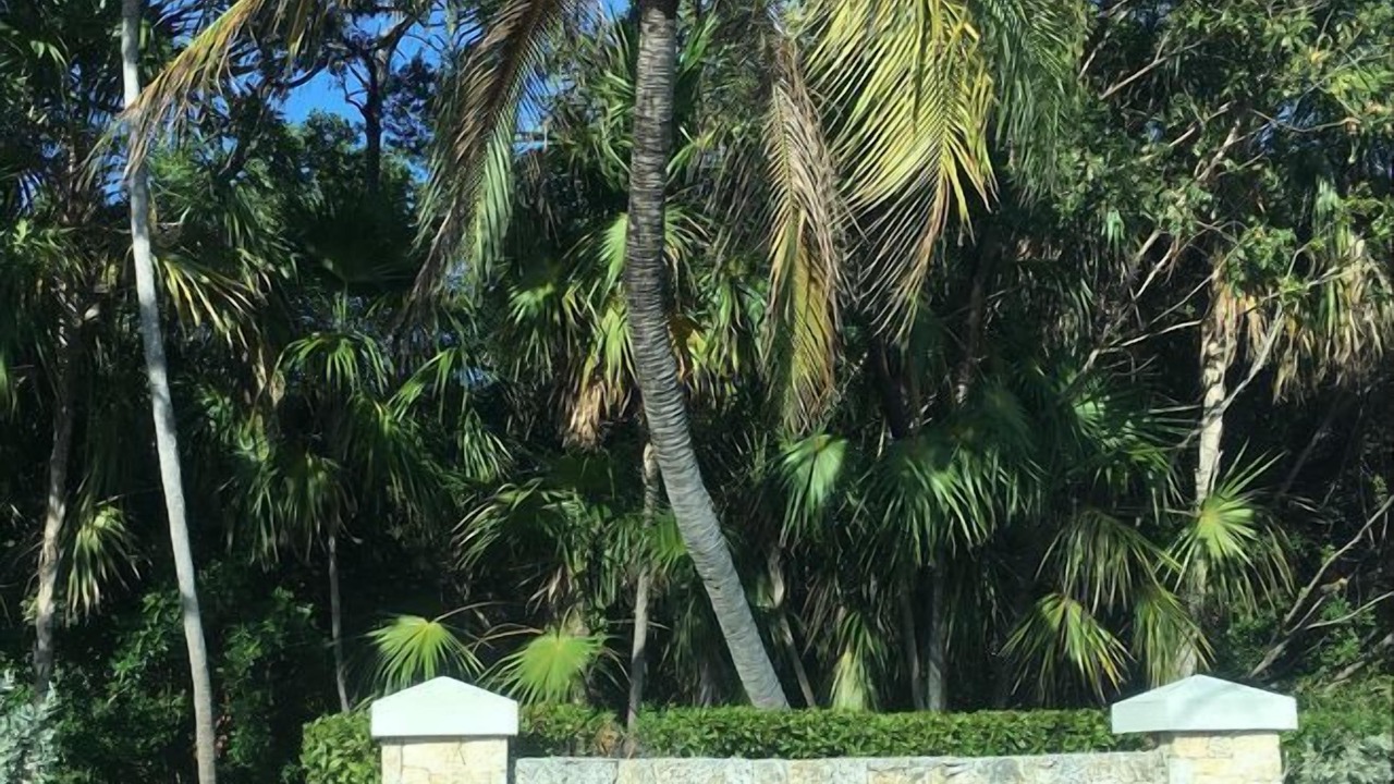 Photo of Outdoor in Marathon
