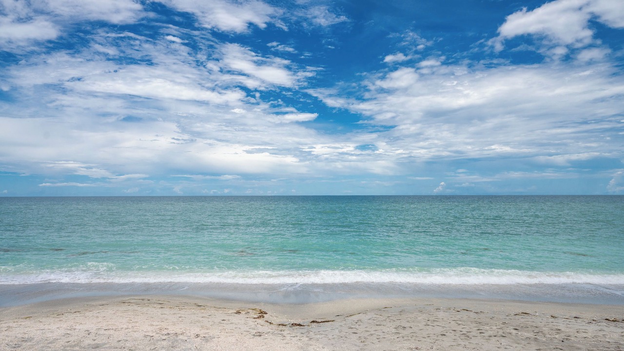 Photo of Others in Manasota Key