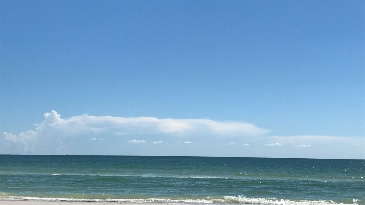 Photo of Others in Redington Beach