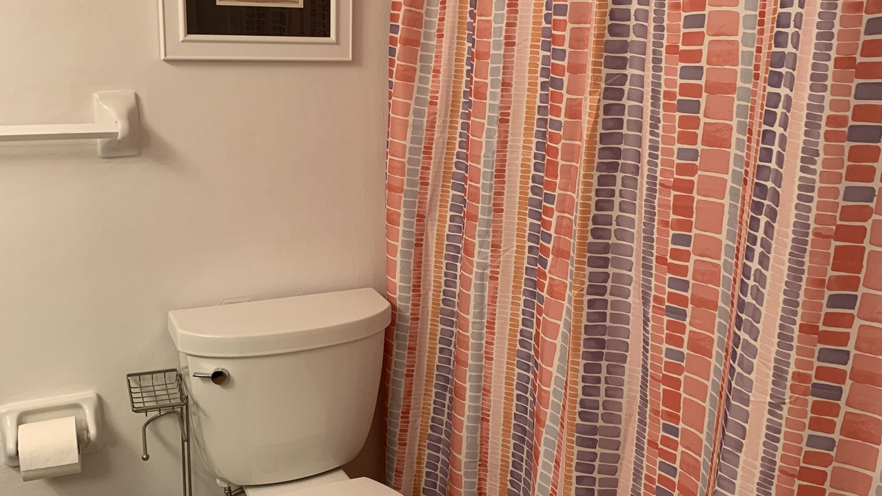 Photo of Bathroom in Redington Beach