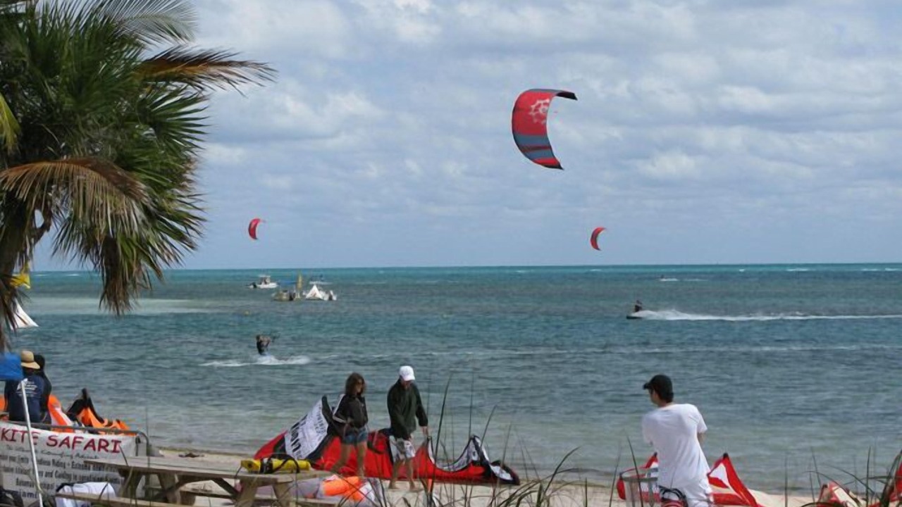 Photo of Others in Key Biscayne