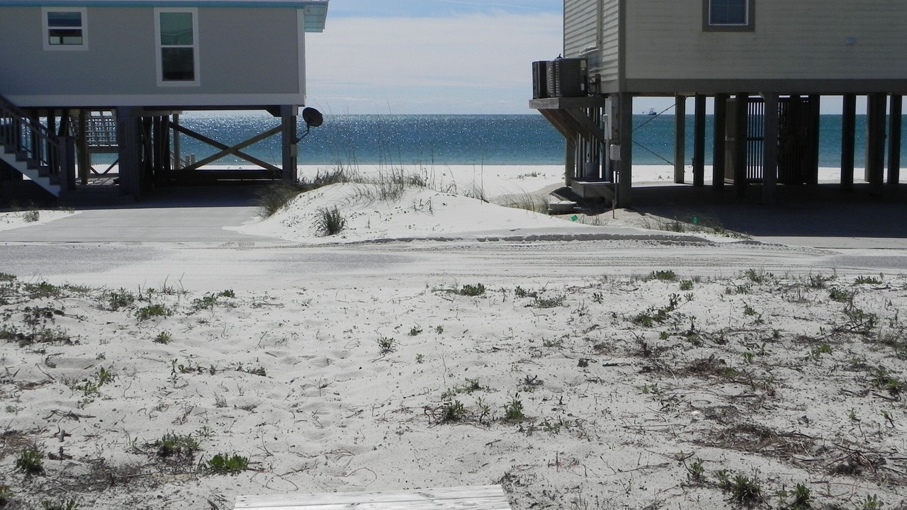 Photo of Others in Surf Side Shores