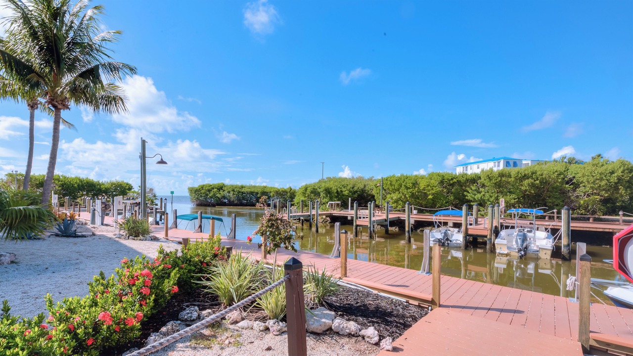 Photo of Outdoor in Tavernier