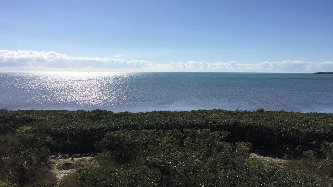 Photo of Patio Balcony in Tavernier