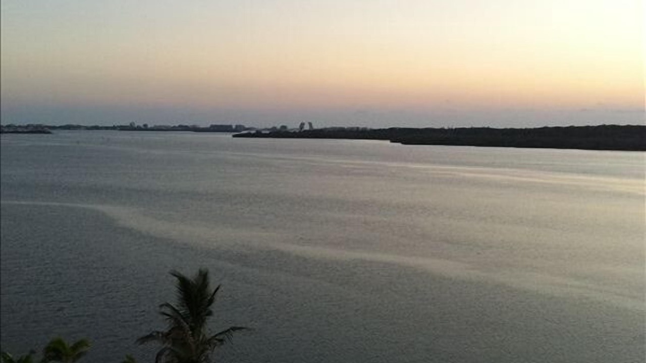 Photo of Patio Balcony in St. Petersburg - Clearwater