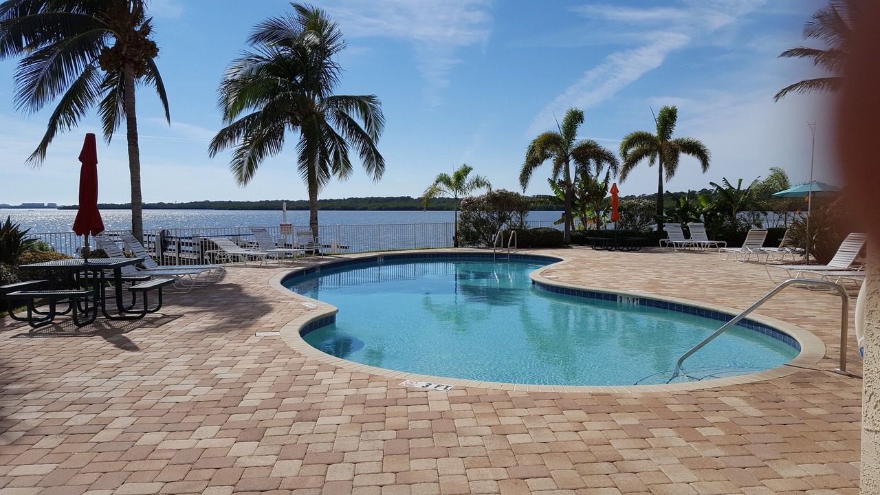 Photo of Outdoor in St. Petersburg - Clearwater