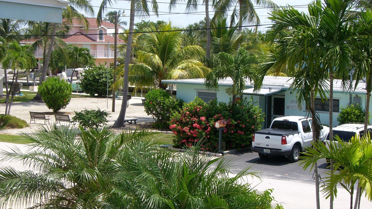 Photo of Others in Islamorada