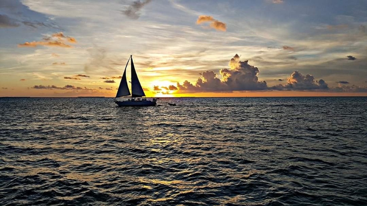 Photo of Others in Tavernier