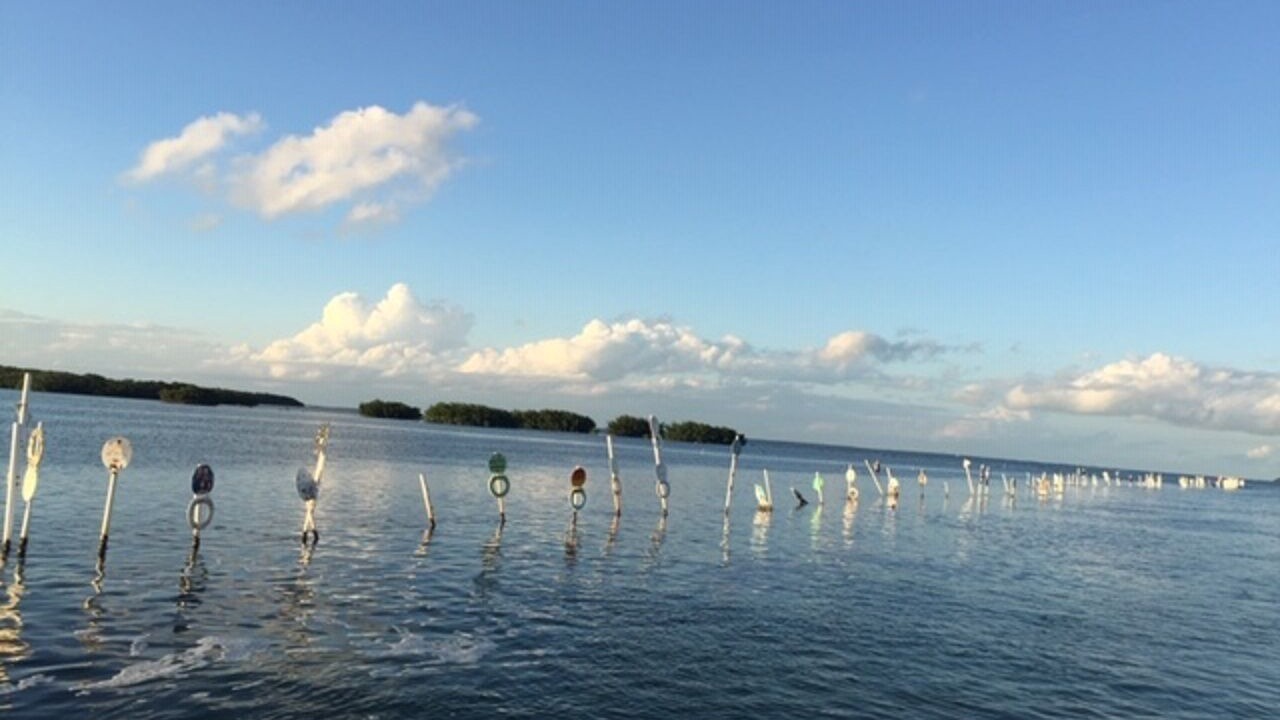 Photo of Others in Tavernier