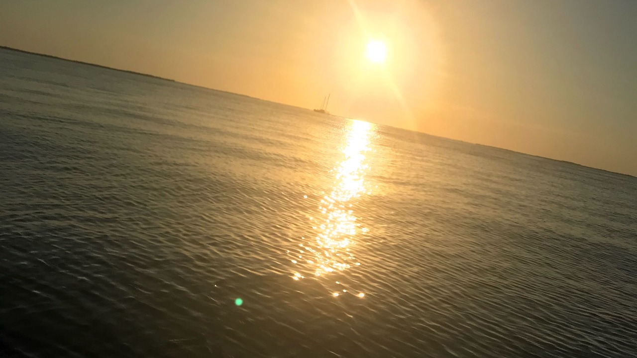 Photo of Outdoor in Sexton Cove Estates