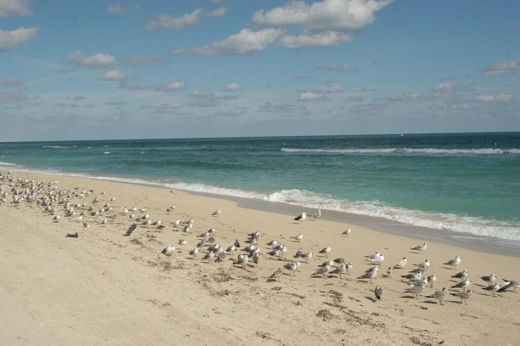 Photo of Others in Surfside