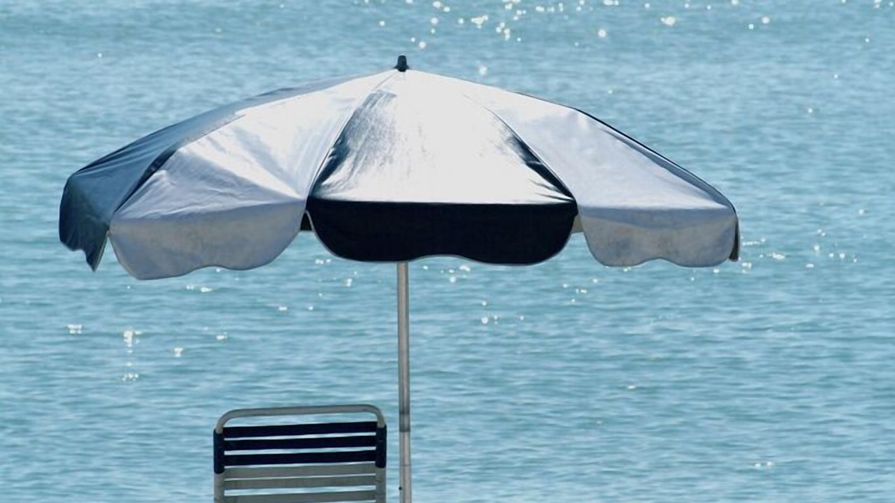 Photo of Others in Surfside