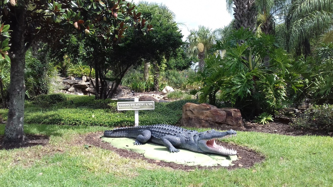 Photo of Outdoor in Bahama Bay