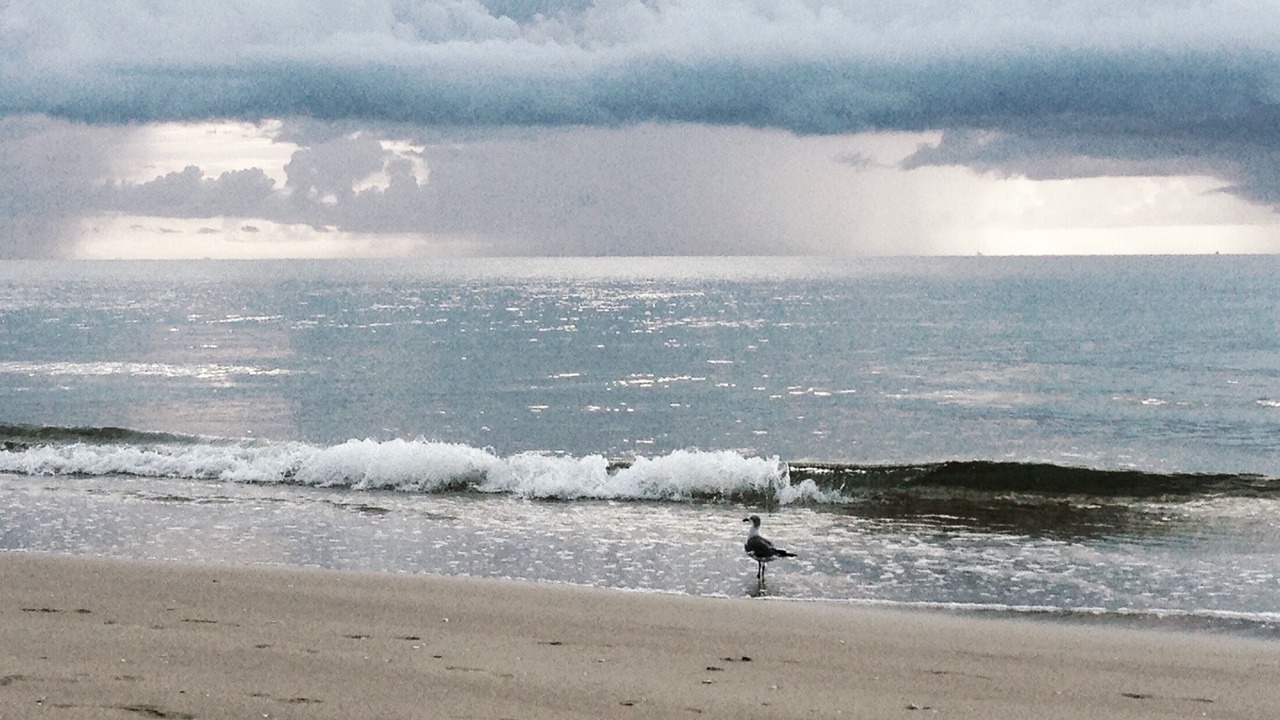 Photo of Others in Lauderdale-by-the-Sea