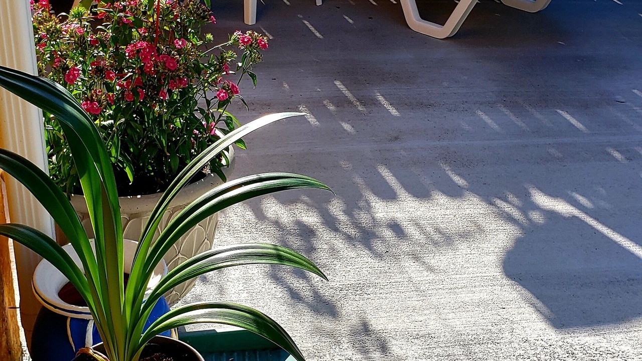Photo of Patio Balcony in Golden Gate