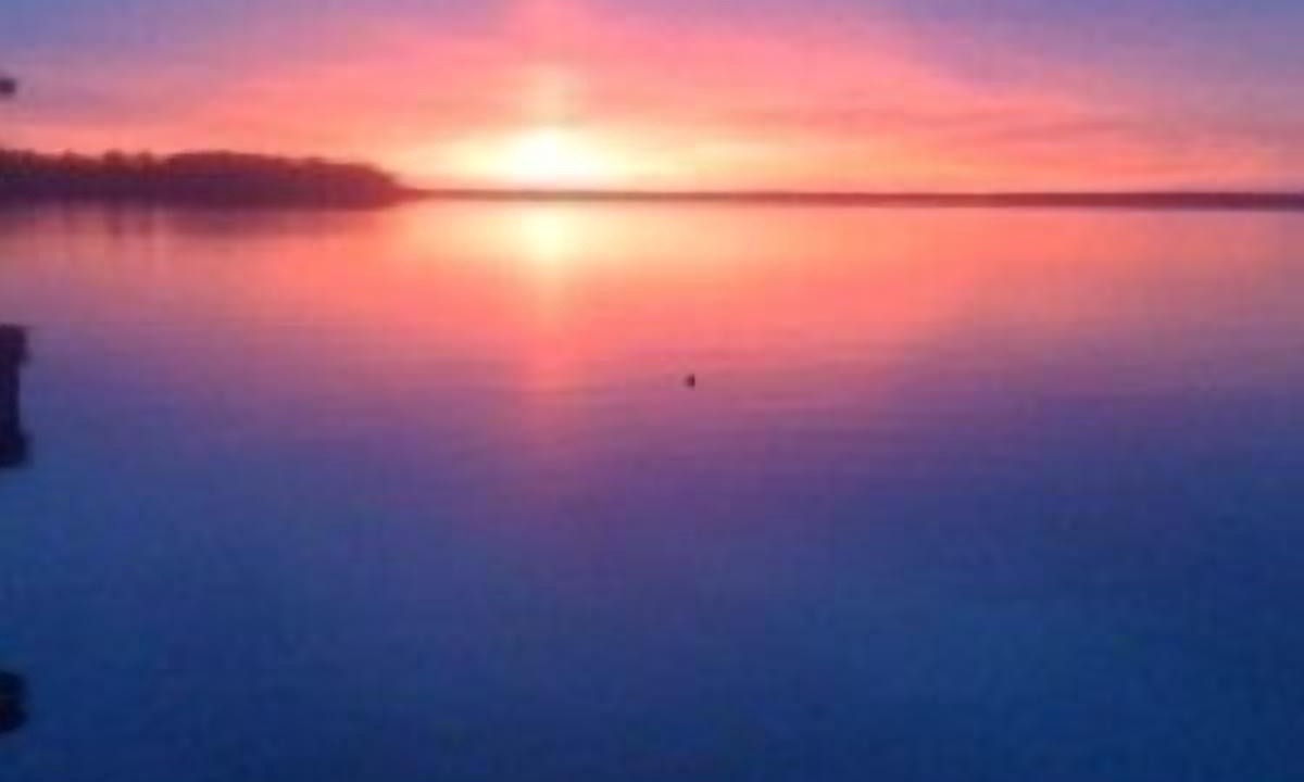 Photo of Others in Doctors Inlet