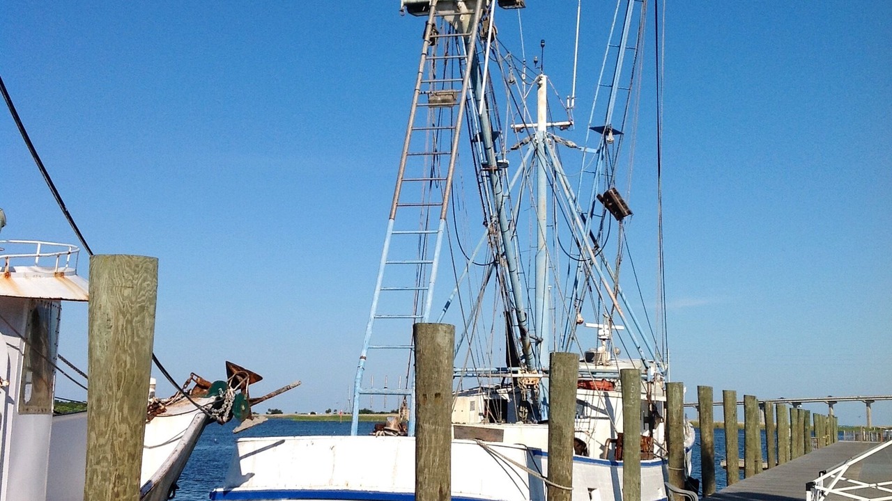 Photo of Others in Historic Downtown Apalachicola
