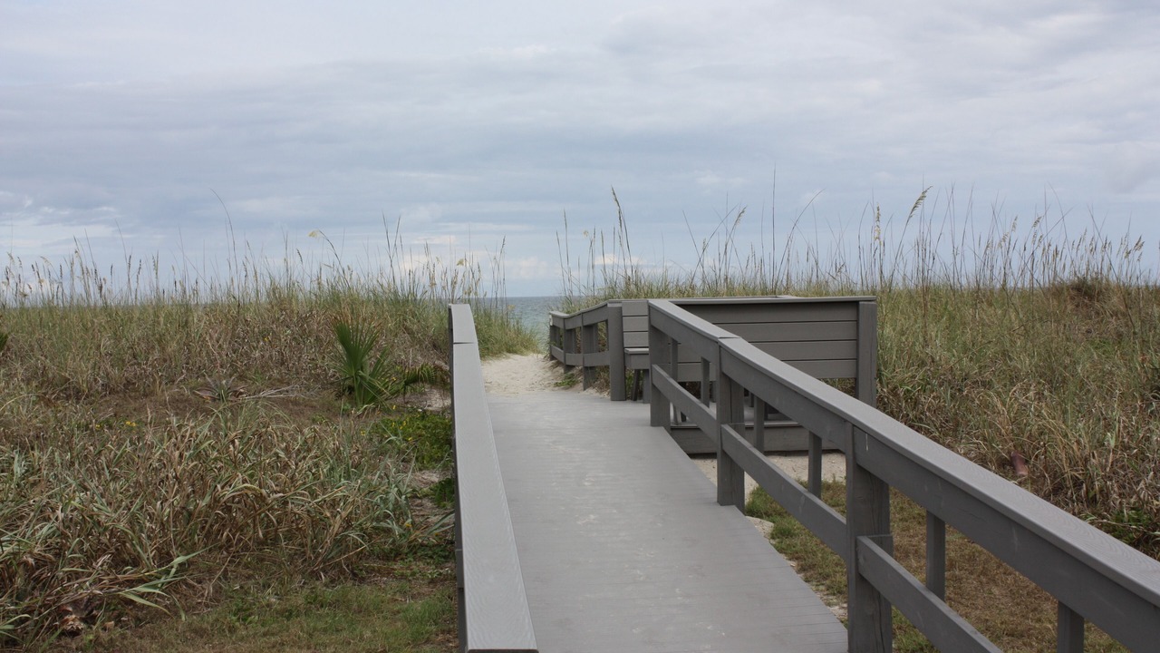 Photo of Others in Avon By The Sea