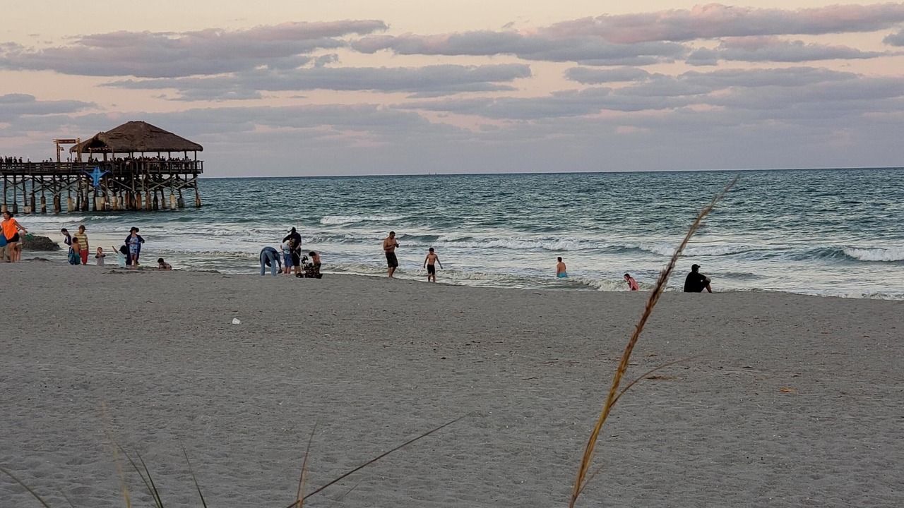 Photo of Others in Avon By The Sea