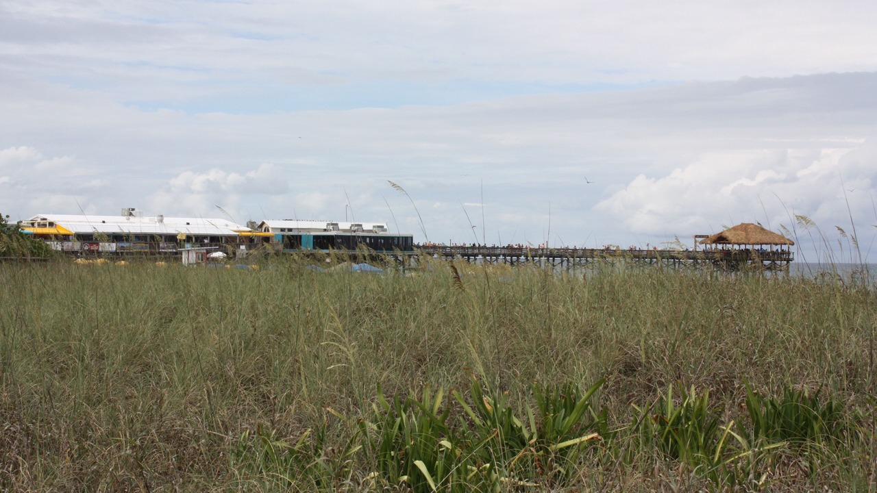 Photo of Others in Avon By The Sea