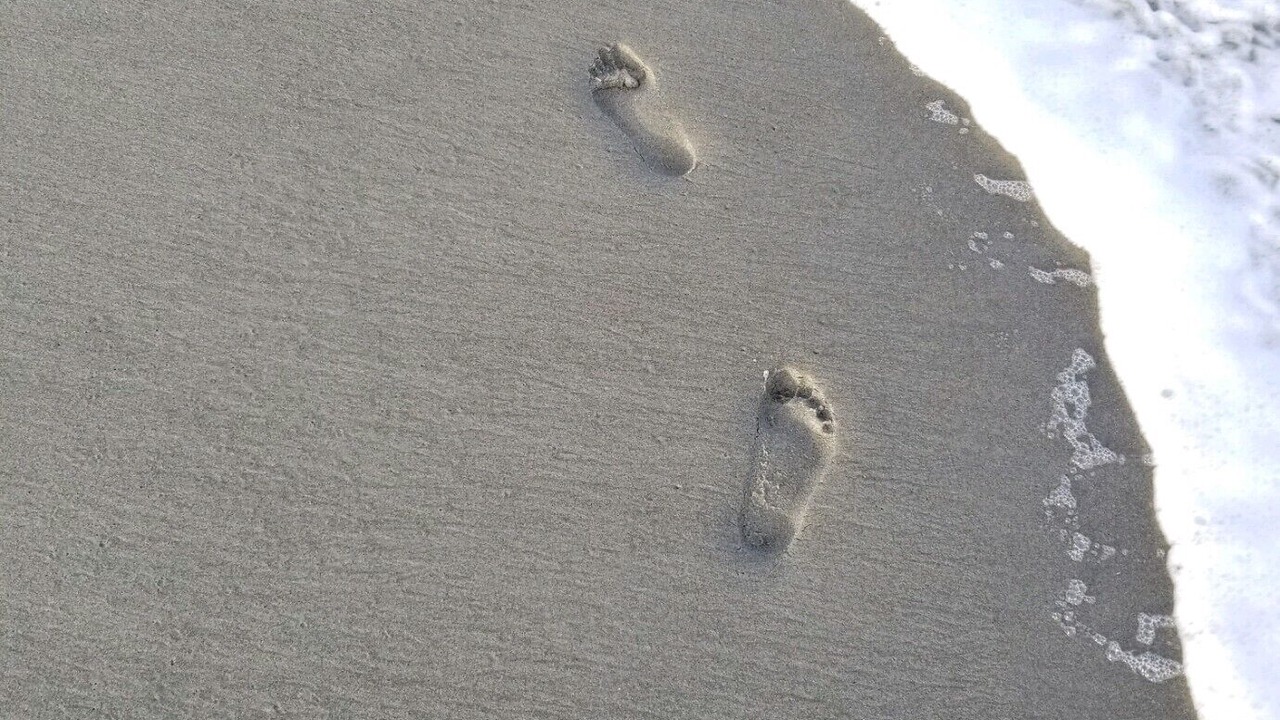 Photo of Others in Avon By The Sea
