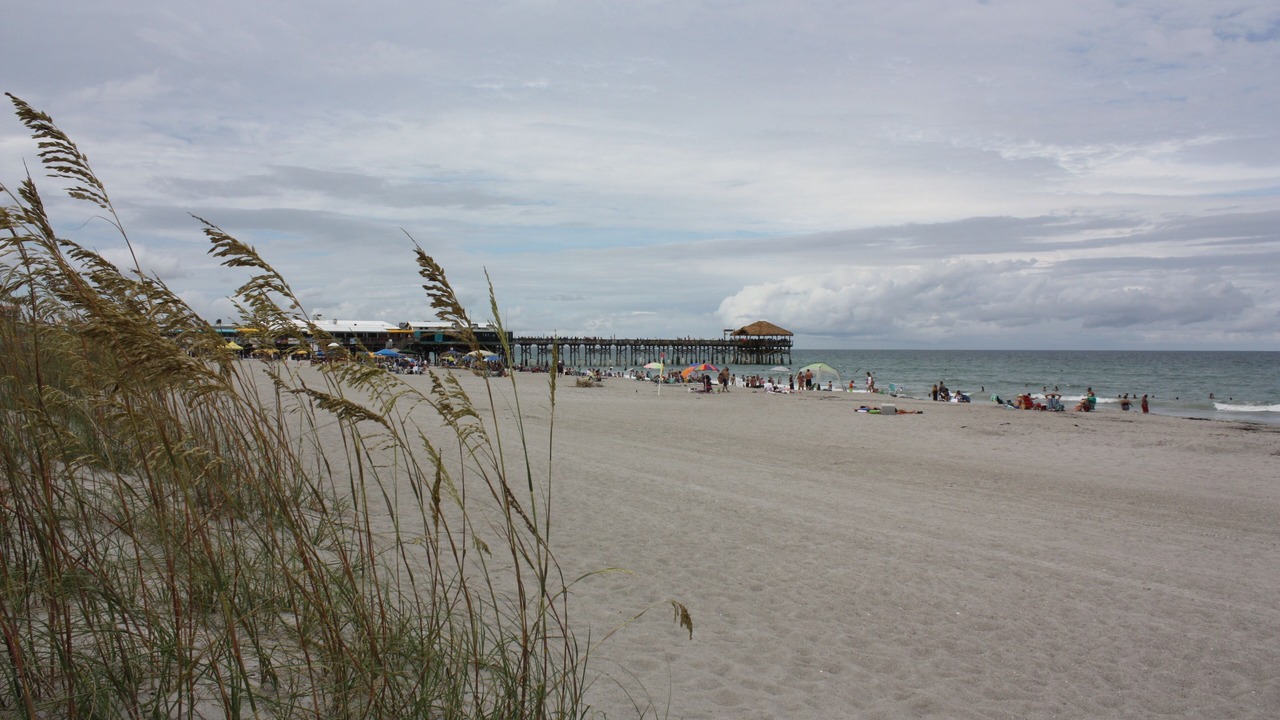 Photo of Others in Avon By The Sea