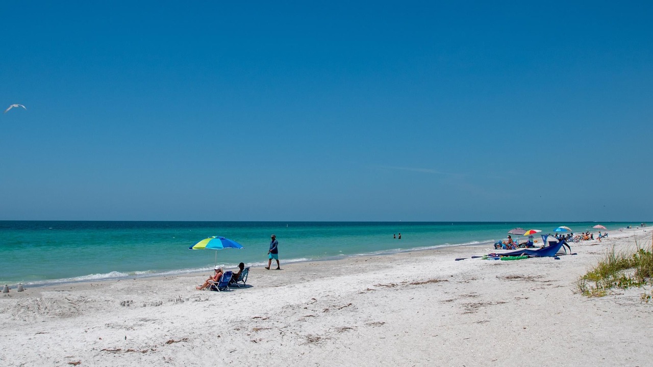 Photo of Others in Belleair Beach