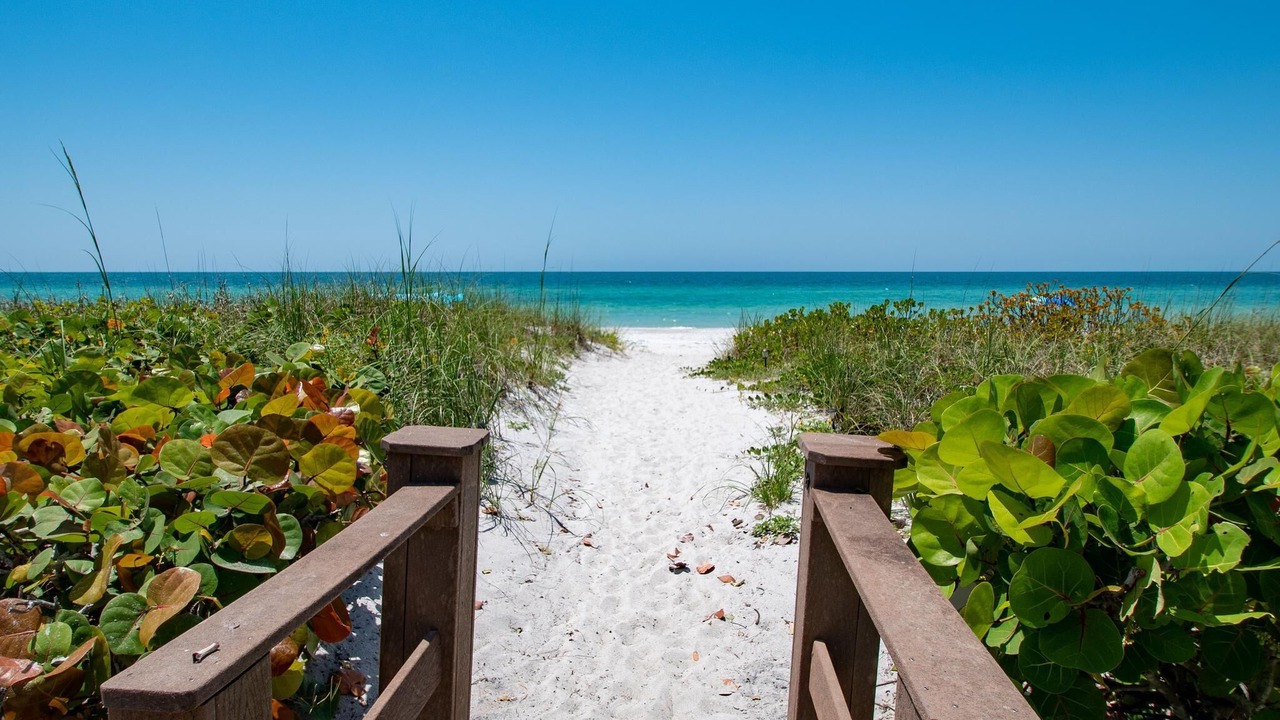 Photo of Others in Belleair Beach