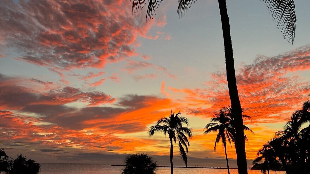 Photo of Others in Key West