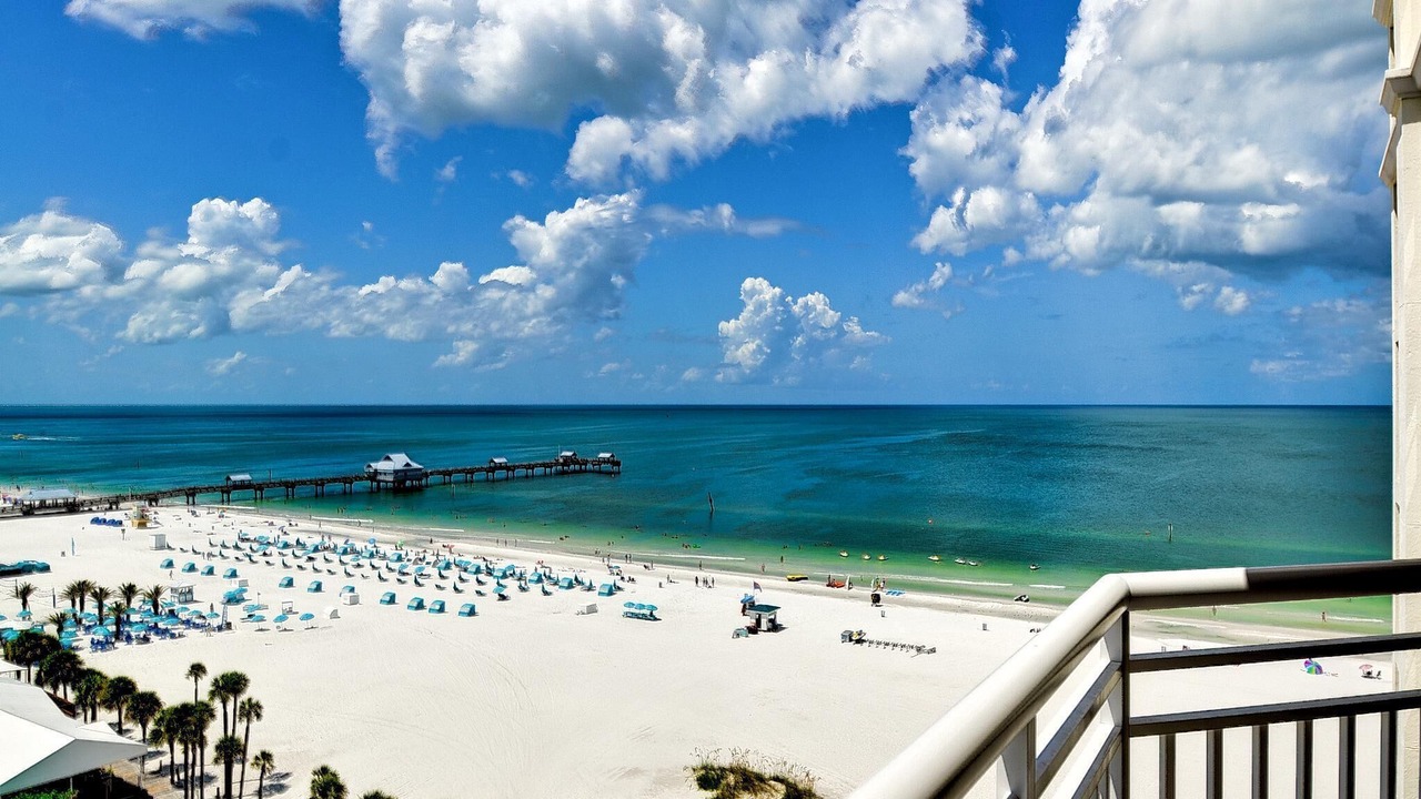 Photo of Others in Clearwater Beach
