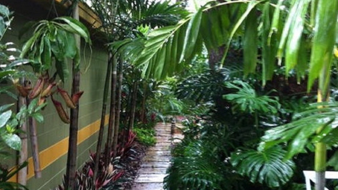 Photo of Outdoor in College Park