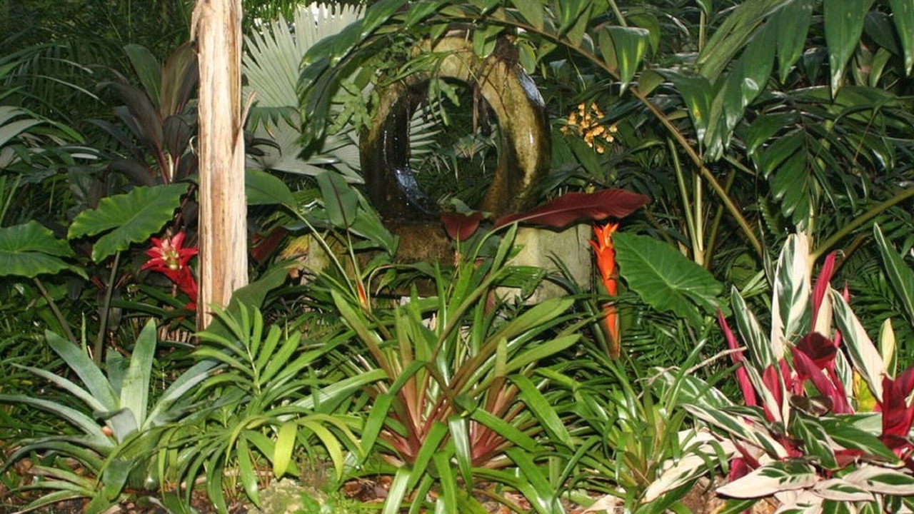 Photo of Outdoor in College Park