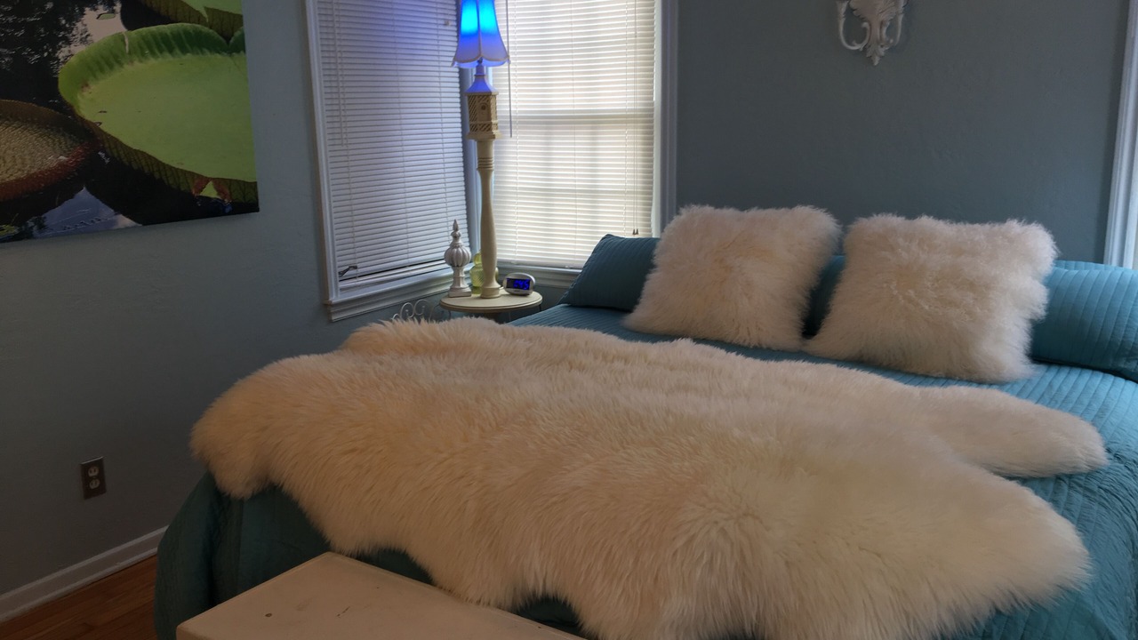 Photo of Bedroom in College Park