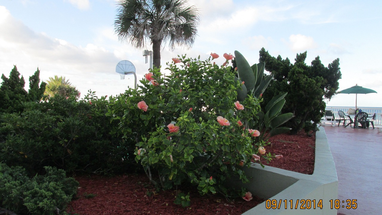 Photo of Others in Ormond Beach