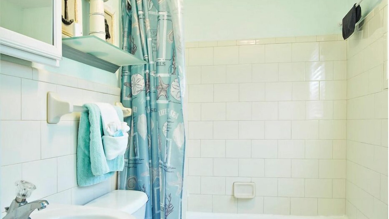 Photo of Bathroom in Redington Beach