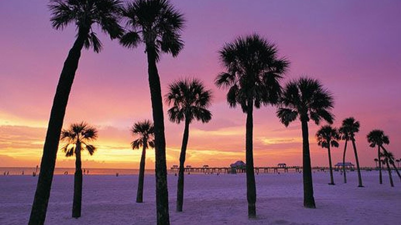 Photo of Others in Clearwater Beach