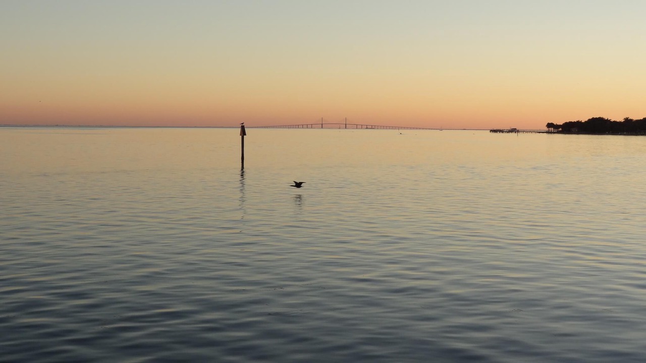 Photo of Others in Coquina Key
