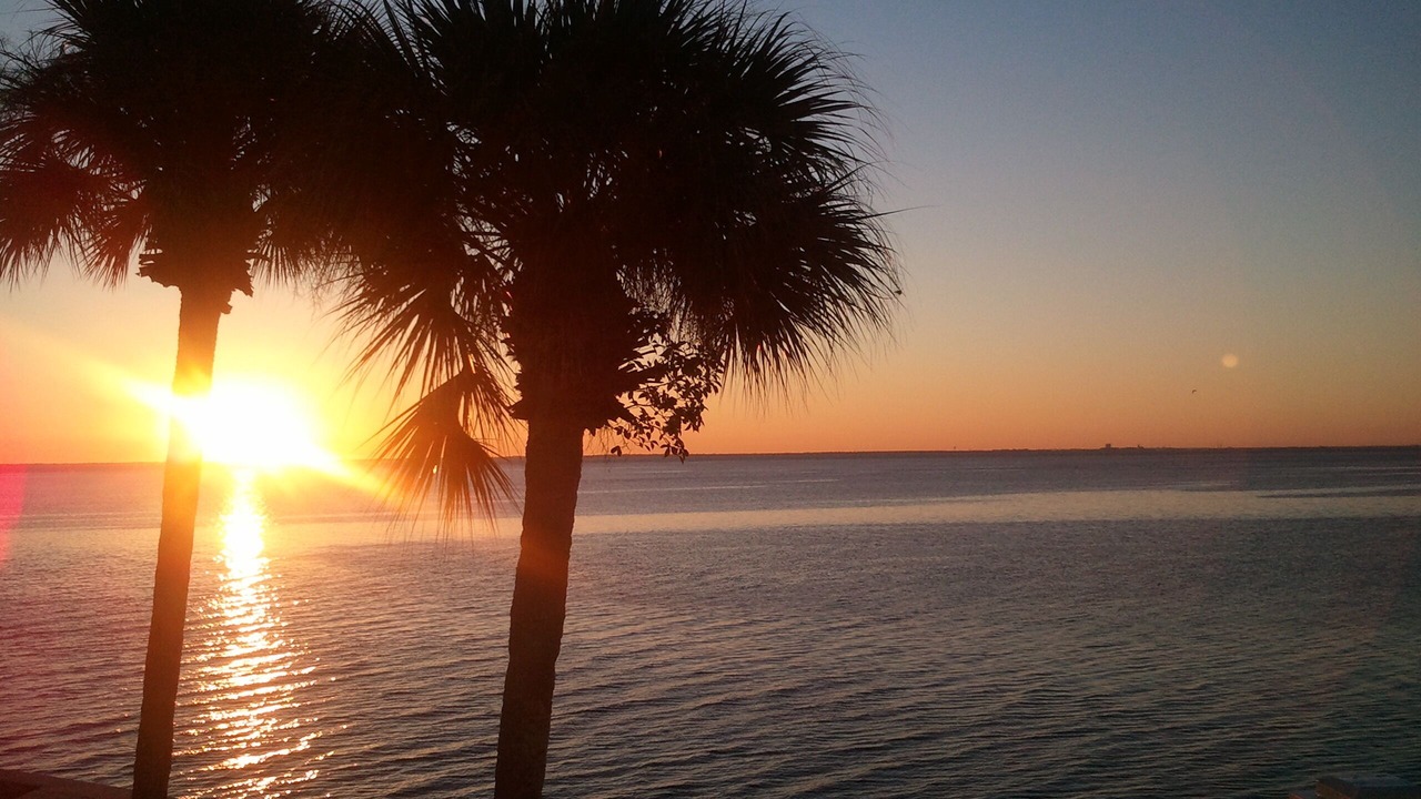 Photo of Others in Coquina Key