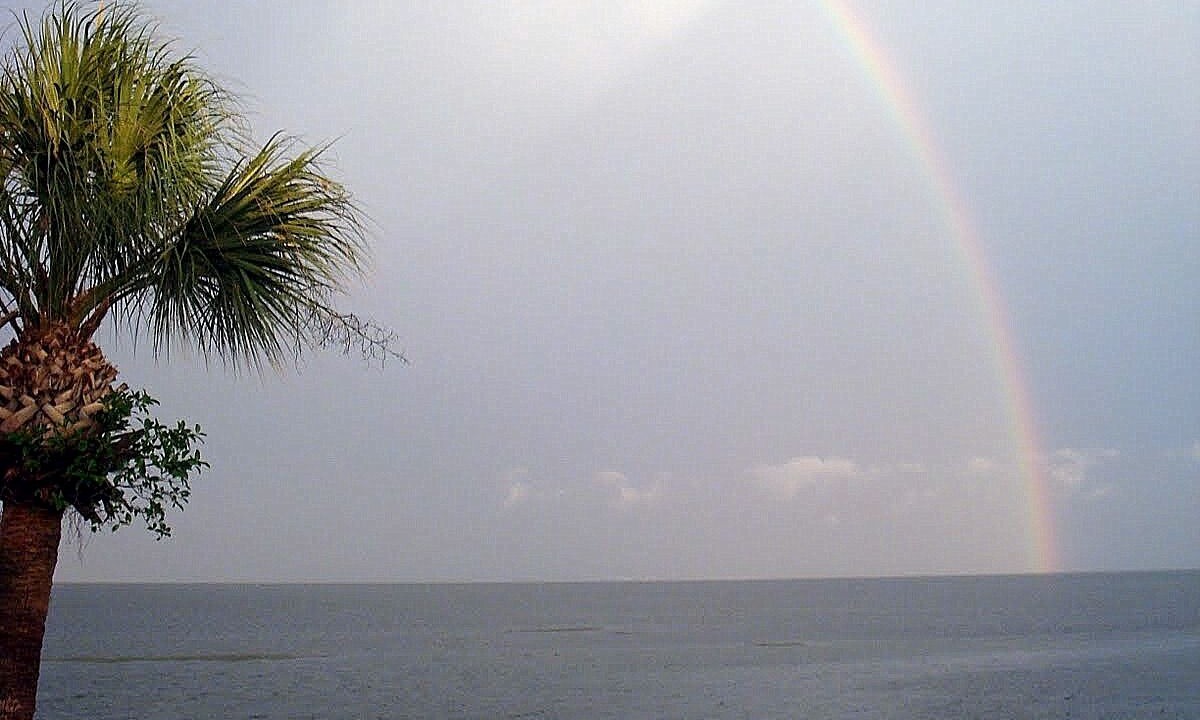 Photo of Others in Coquina Key