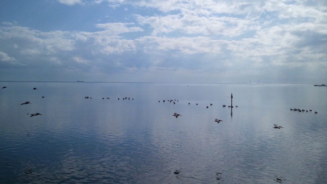 Photo of Others in Coquina Key