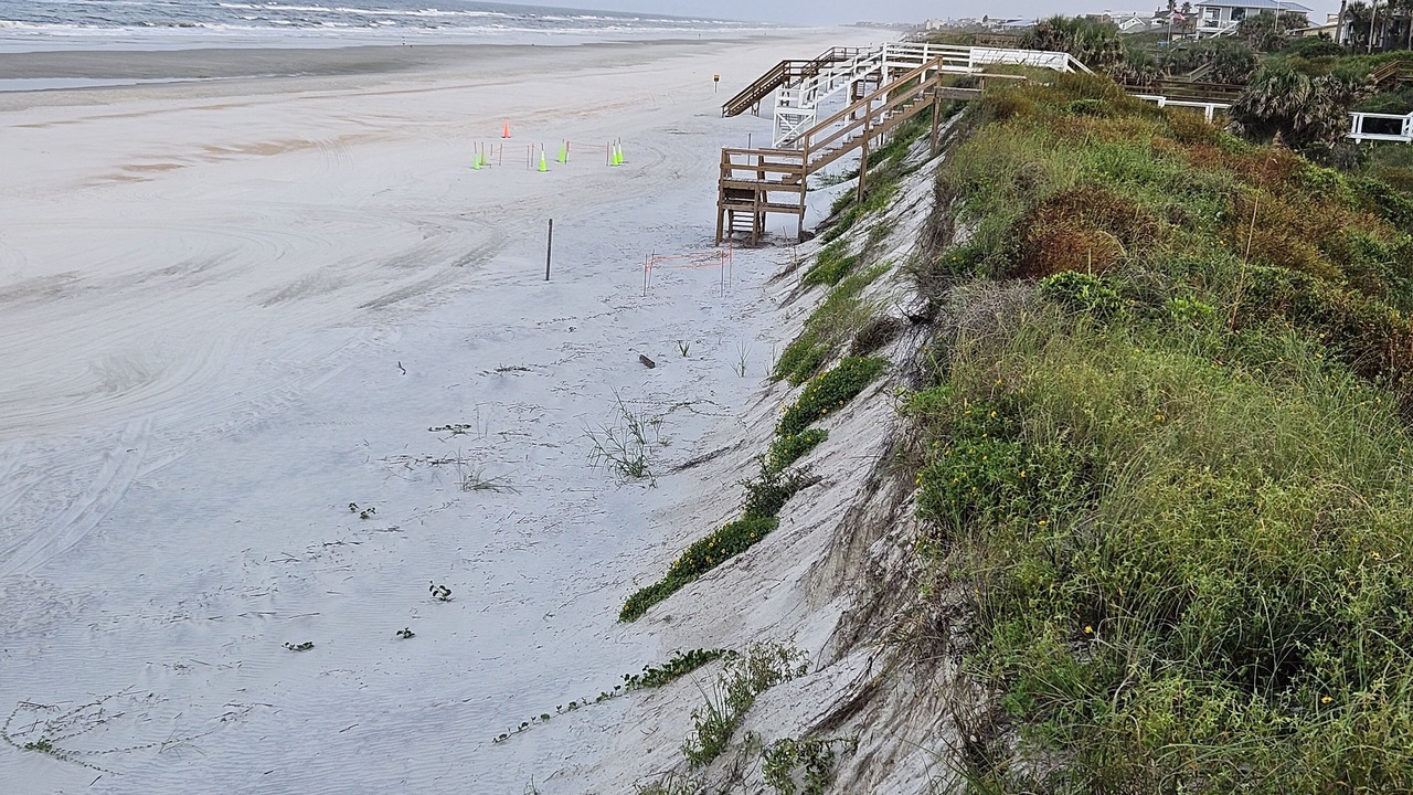 Photo of Others in Crescent Beach