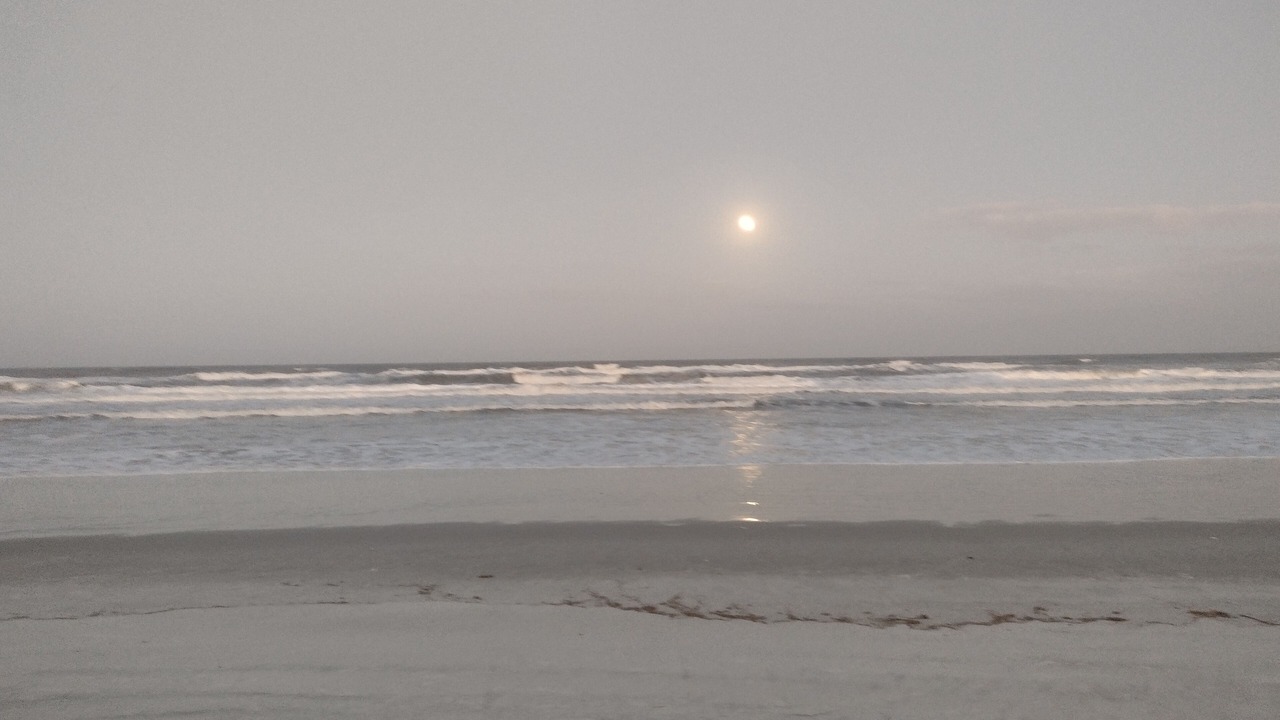 Photo of Others in Crescent Beach
