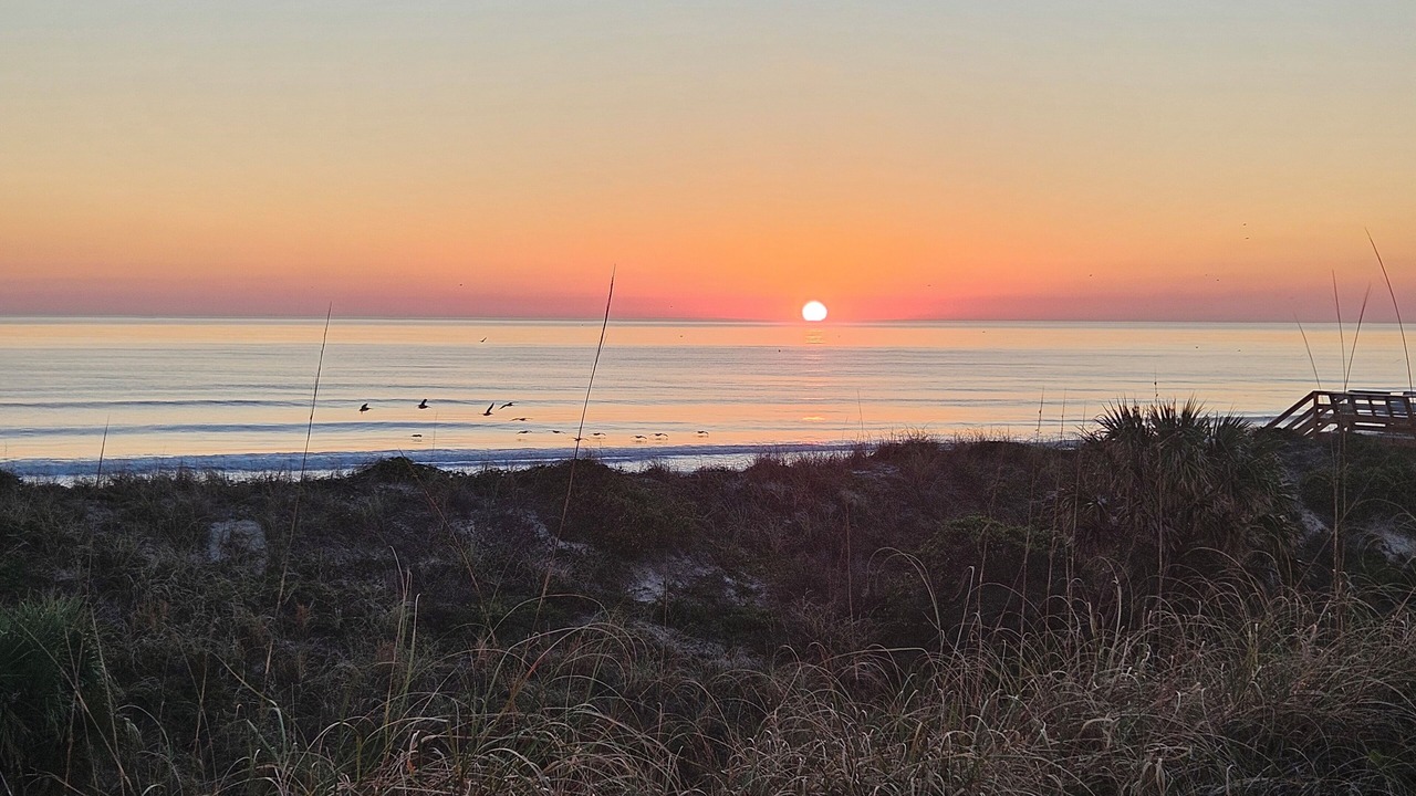 Photo of Others in Crescent Beach