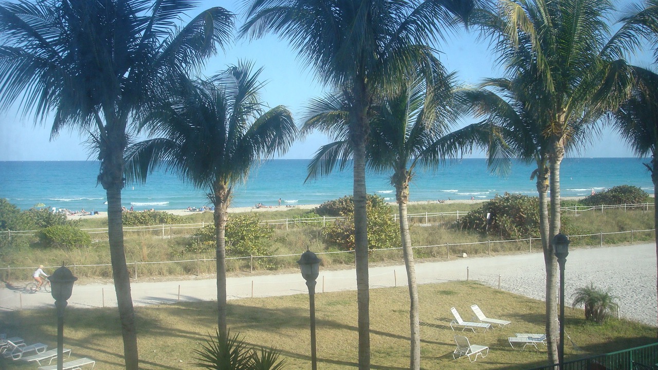 Photo of Others in Surfside