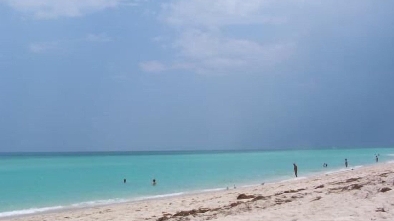 Photo of Others in Surfside
